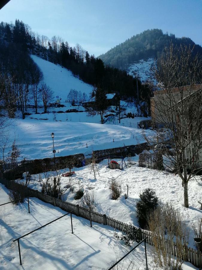 Ferienwohnung Elsa Immenstadt im Allgaeu Ngoại thất bức ảnh